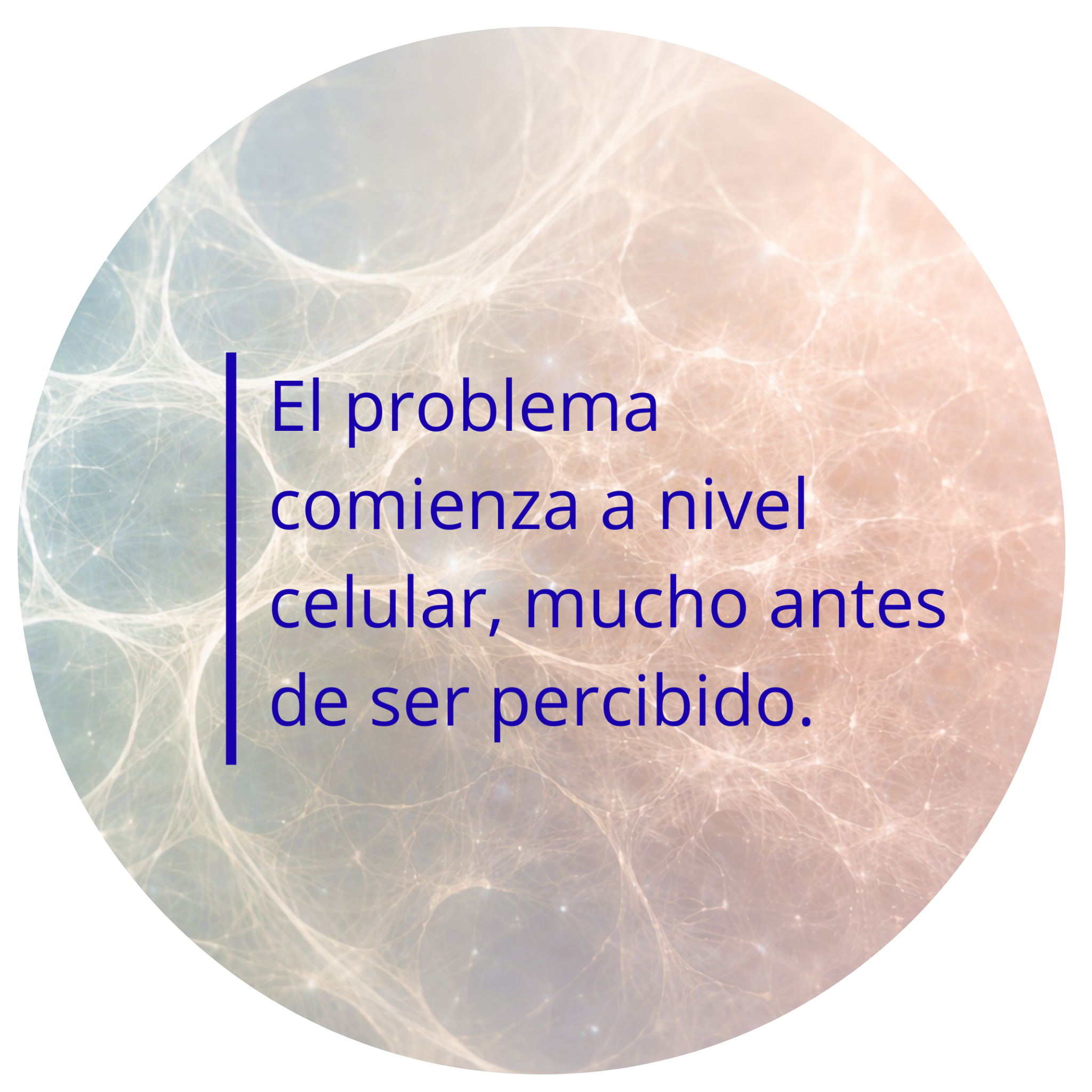 Proceso celular